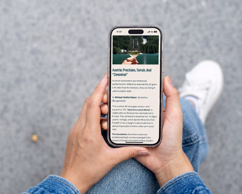Mobile Vorschau eines von Lumios & Co erstellten Blog-Beitrags